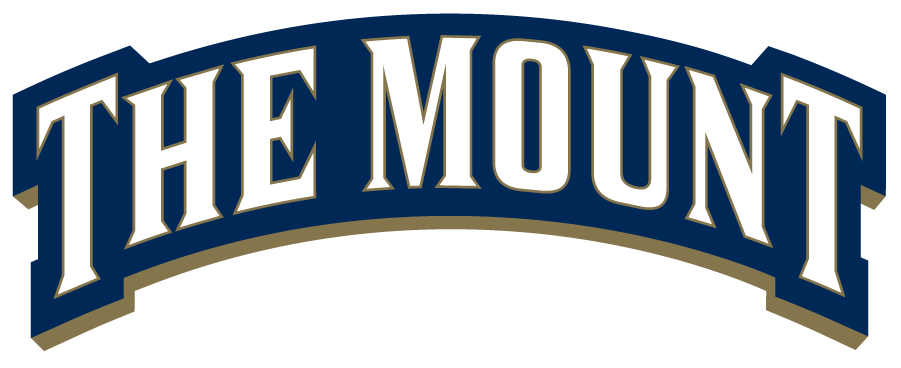 Mount St. Marys Mountaineers 2016-Pres Wordmark Logo v2 iron on transfers for T-shirts